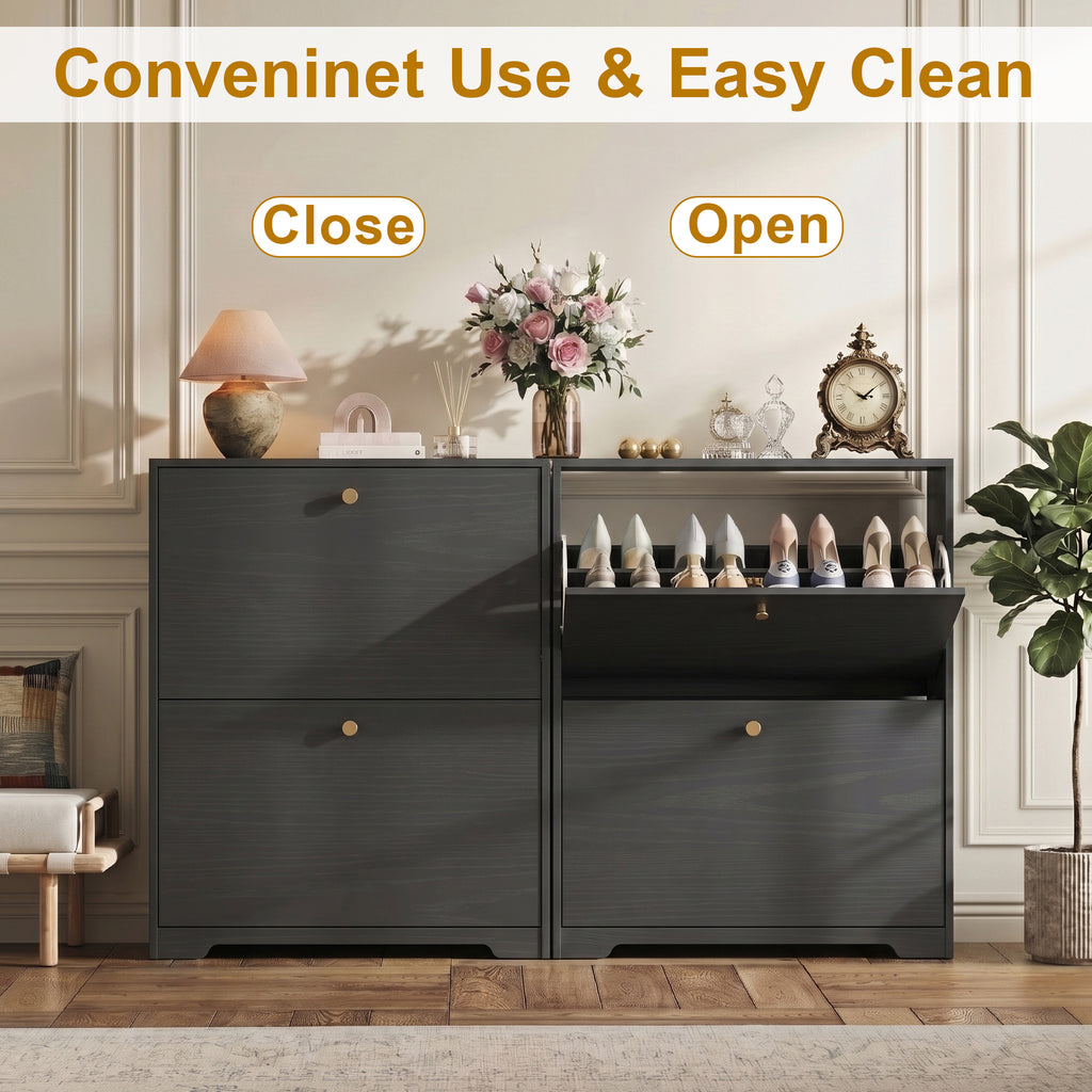 Skyhill Shoe Cabinet with 2 Flip Drawers,Modern Shoe Organizer for Entryway,Black