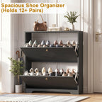 Skyhill Shoe Cabinet with 2 Flip Drawers,Modern Shoe Organizer for Entryway,Black