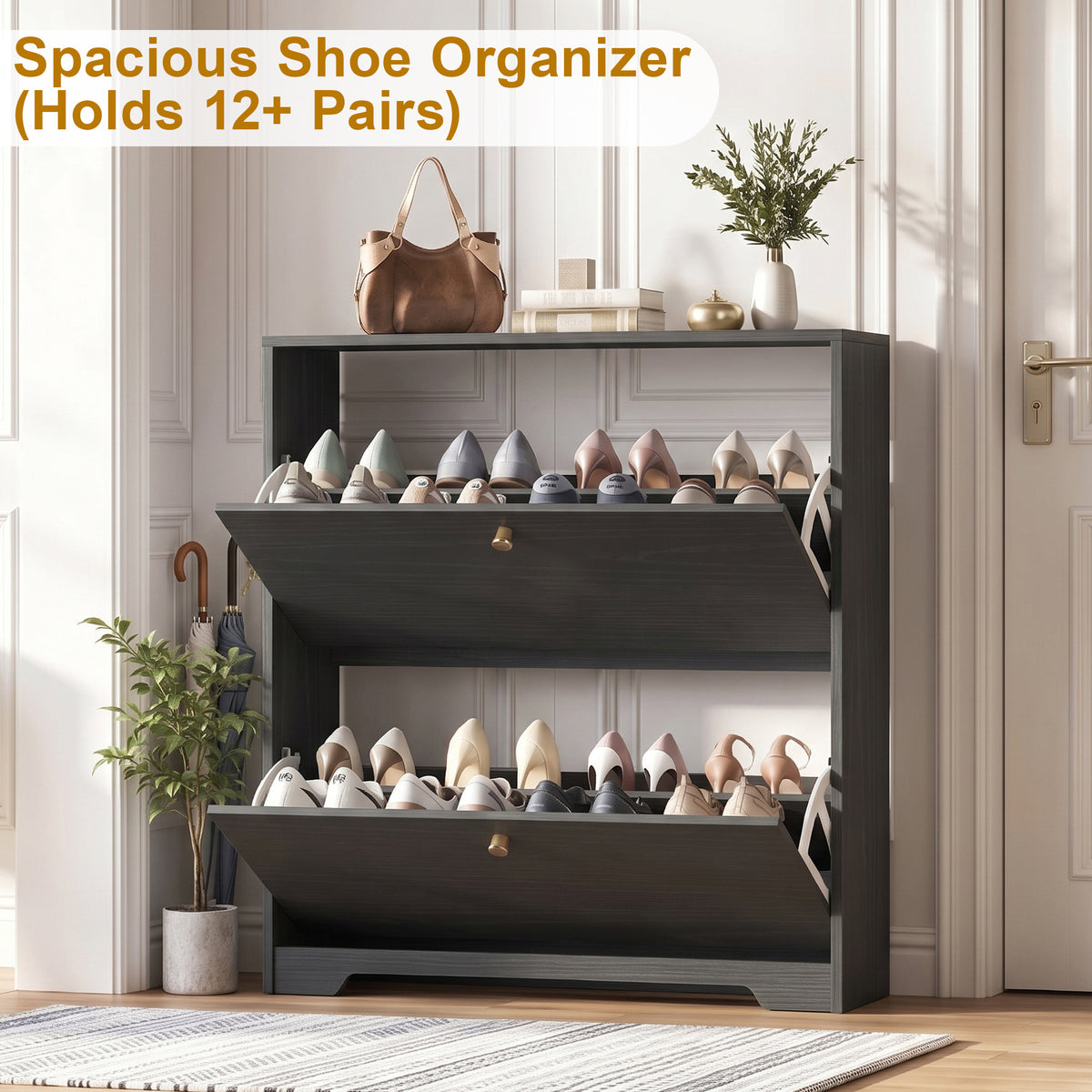 Skyhill Shoe Cabinet with 2 Flip Drawers,Modern Shoe Organizer for Entryway,Black